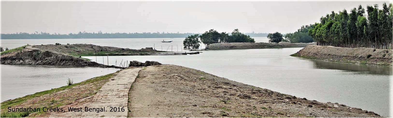 Sundarban Creeks, West Bengal. 2016